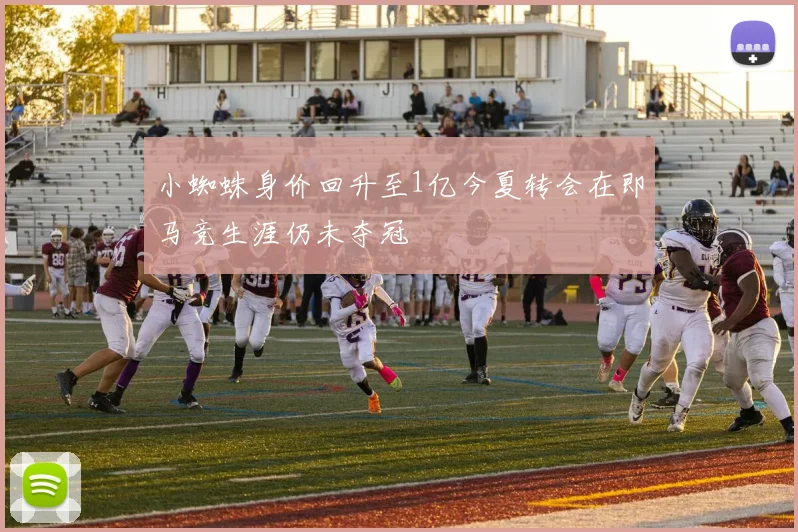 小蜘蛛身价回升至1亿今夏转会在即马竞生涯仍未夺冠